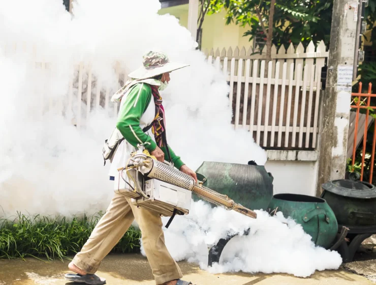 man-is-using-thermal-fog-machine-protect-mosquito-spreading